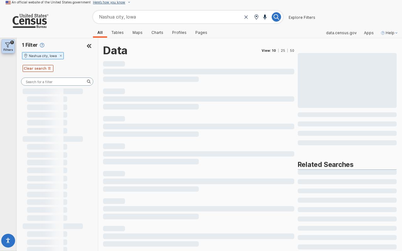 Nashua criminal records and Census profile context